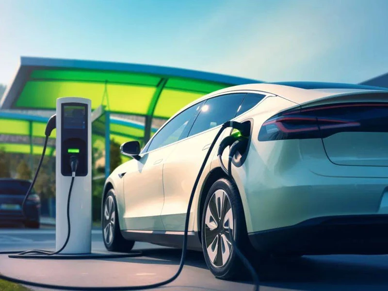 Sustainability Commitment