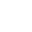 Optional AI Inspection